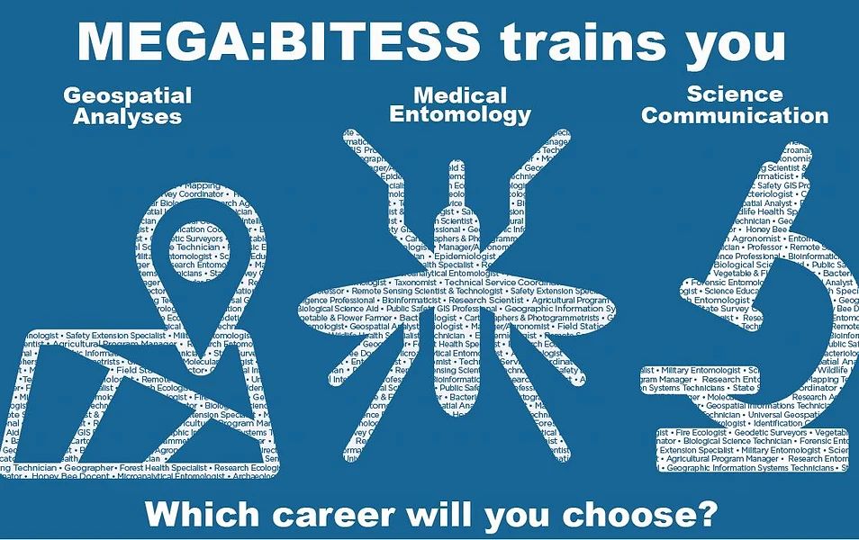 Mega:bitess poster about career paths to choose