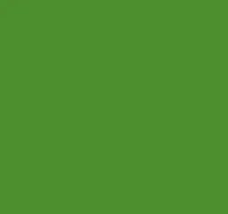 green 4H background color pattern