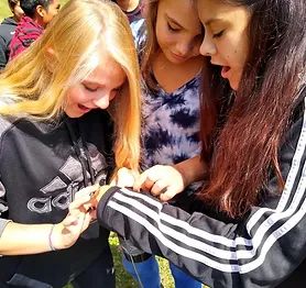 Students touching a sample in the field