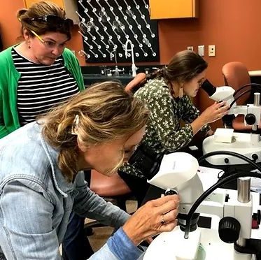 Teachers viewing samples through microscopes 