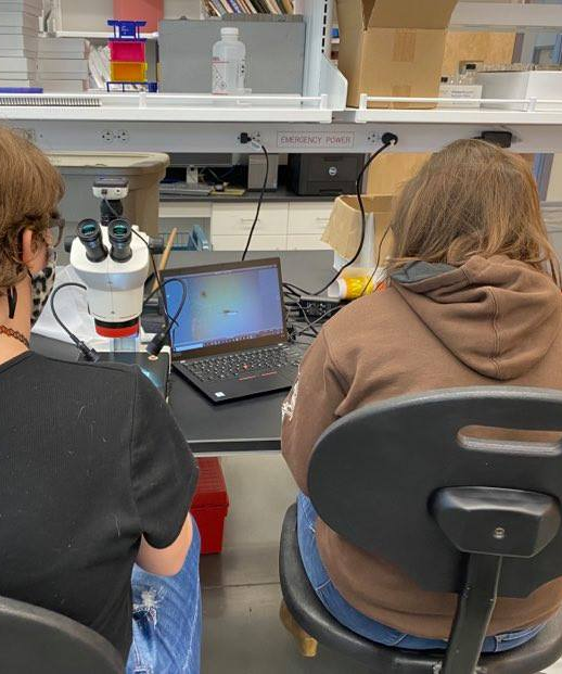 Two students using a microscope and laptop while doing research 