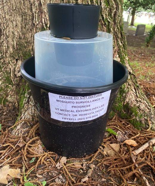 Container outside by a tree marked as "mosquito surveillance in progress" 